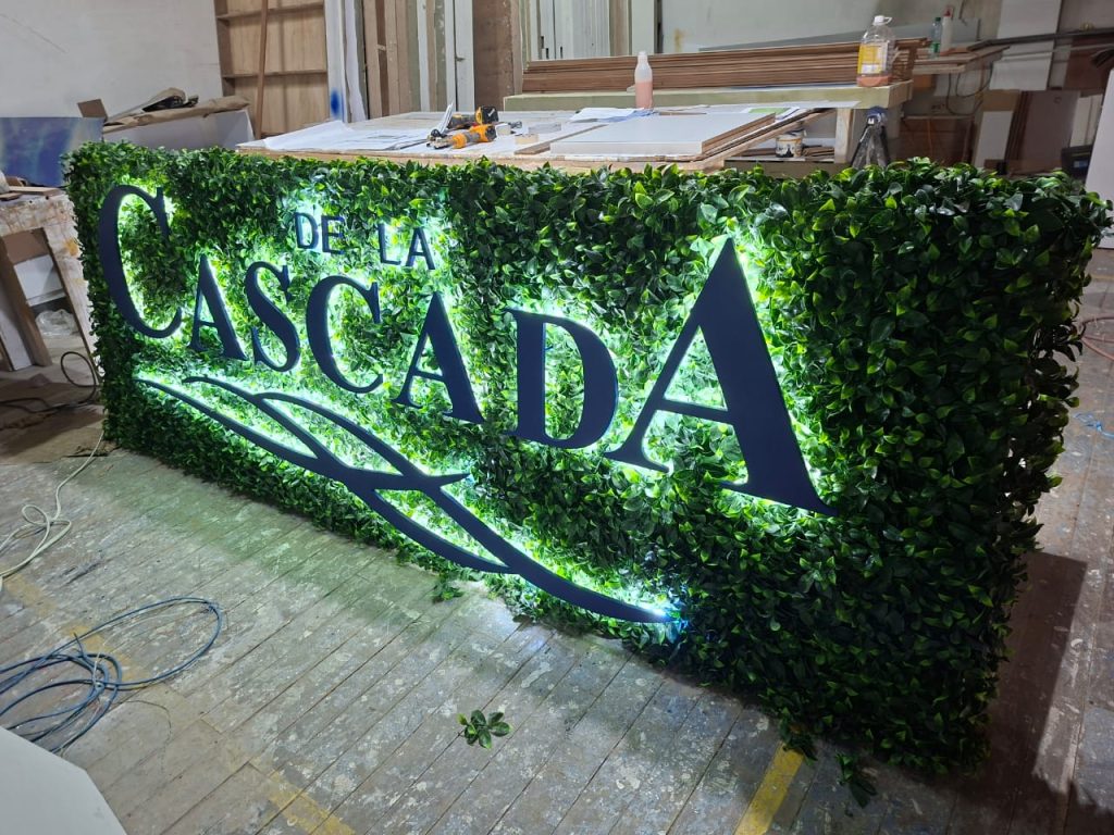 whatsapp image 2026 01 06 at 10.00.21 am